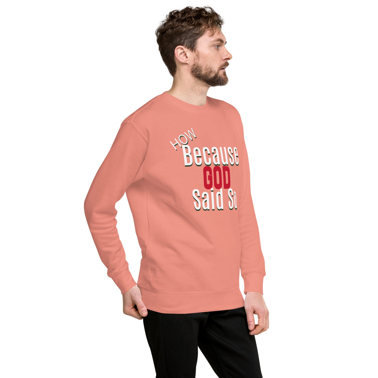 Because God Said So Unisex Premium Sweatshirt