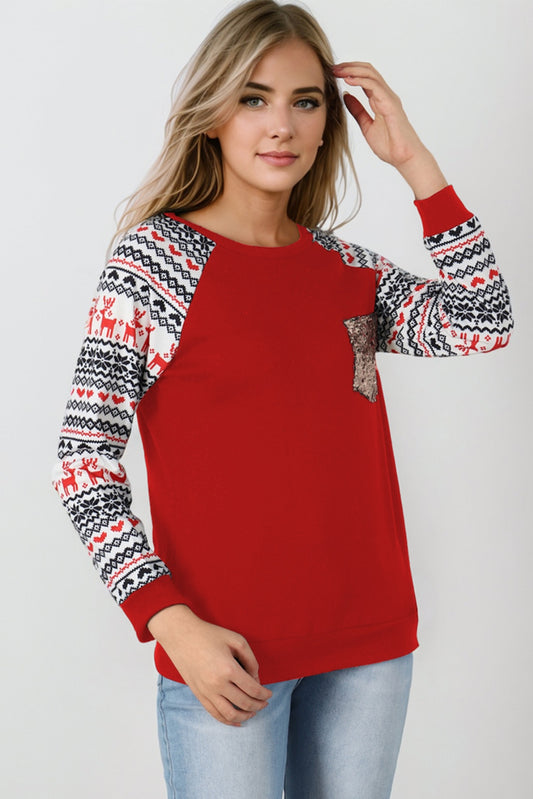 Sequin Round Neck Raglan Sleeve Top